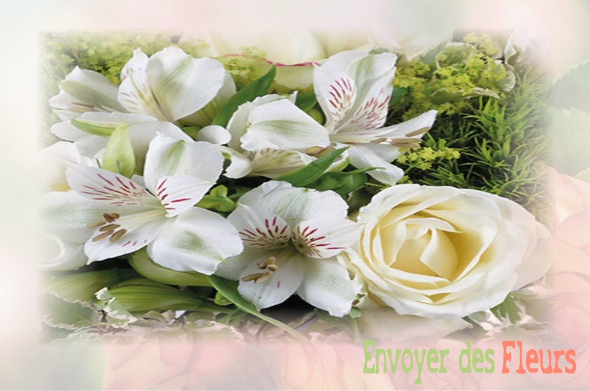 envoyer des fleurs à à MENETREOLS-SOUS-VATAN